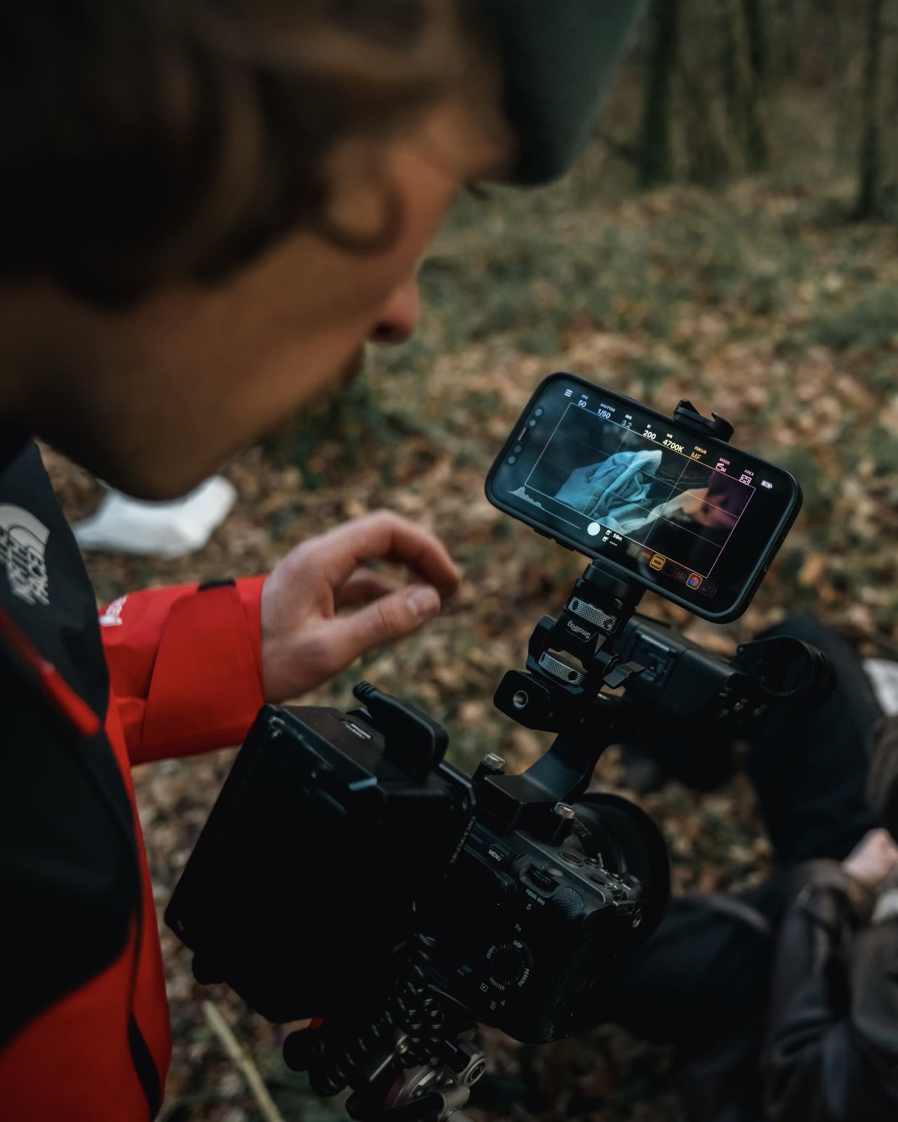 Feline — behind the scenes